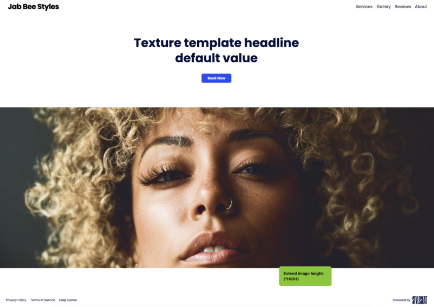 styleseat custom website